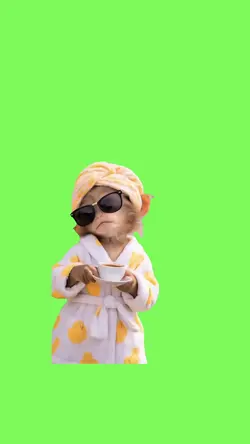 Dancing monkey