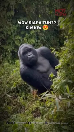 Apa Liat" ?