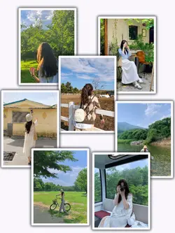 7Pic Frame Aesthetic