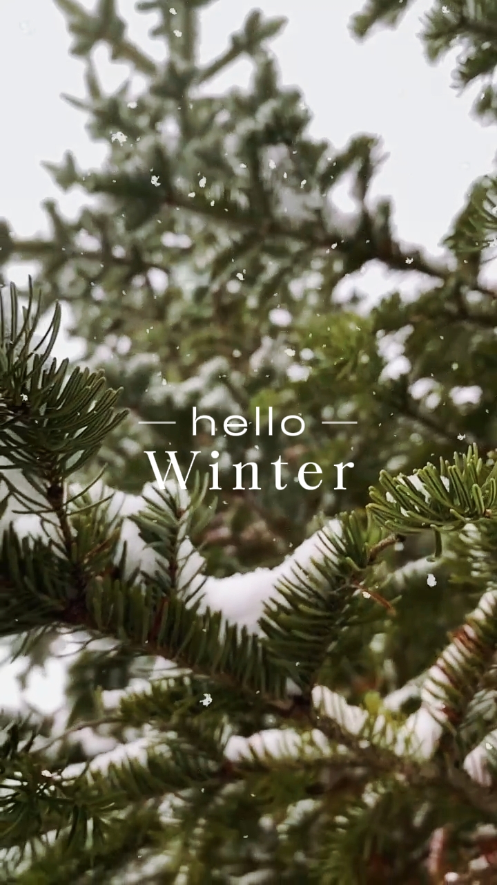 Hallo Winter