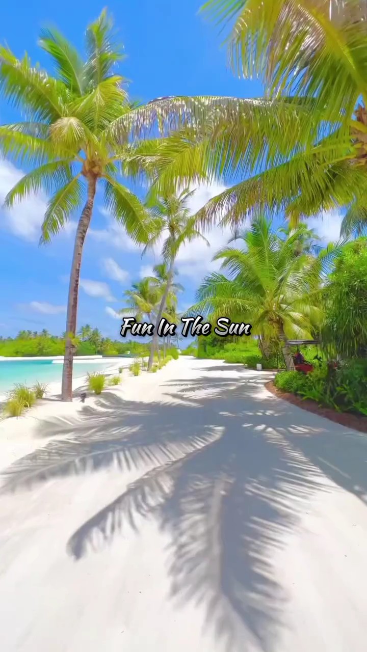 S'amuser au soleil 