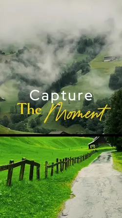 Capture the moment