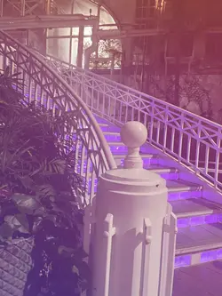 izzy photo 🥹✌🏼