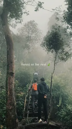 forest or for rest