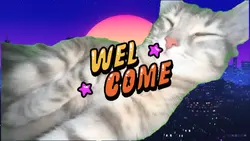 OPENING MEME KUCING