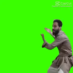 greenscreen 