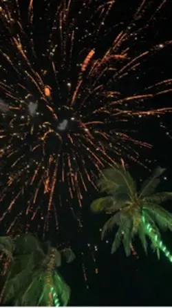 Happy new year 🎆🎊