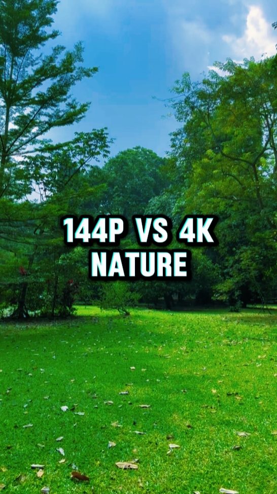 144P a 4k Naturaleza