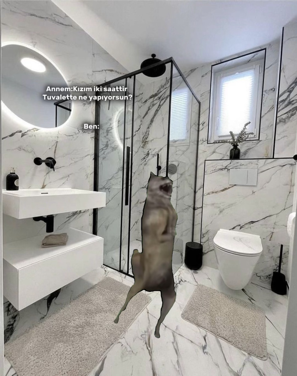 İh vil nih İKYDİOTSİ