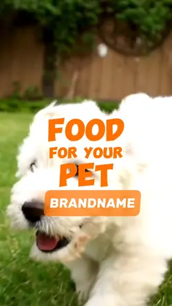 Pet Food Promotion 