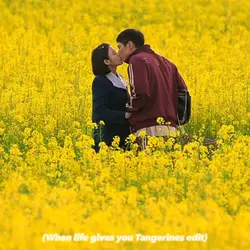 K-drama Edit