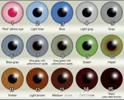 Eyes color