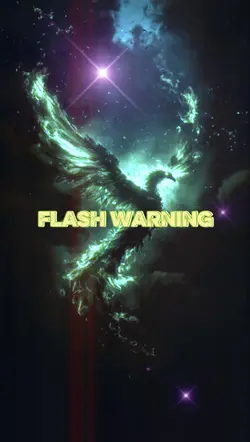 FLASH WARNING 