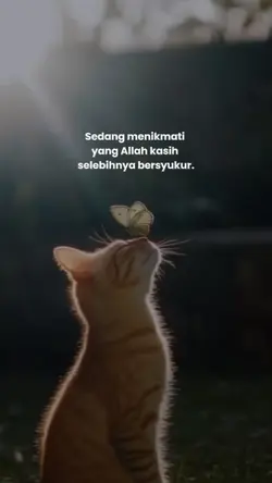 quotes