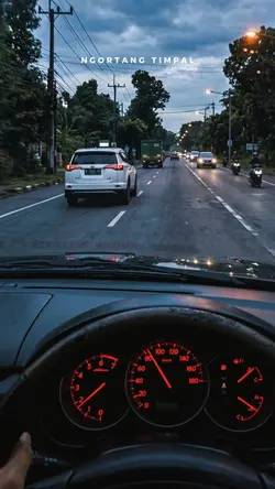 Dalang Pengadukan
