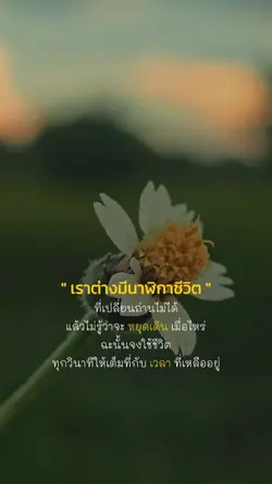 นาฬิกาชีวิต