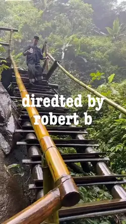 directed by robert b