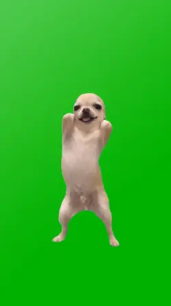 GENTLEMEN DANCE MEME