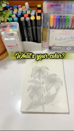 Whats your color?