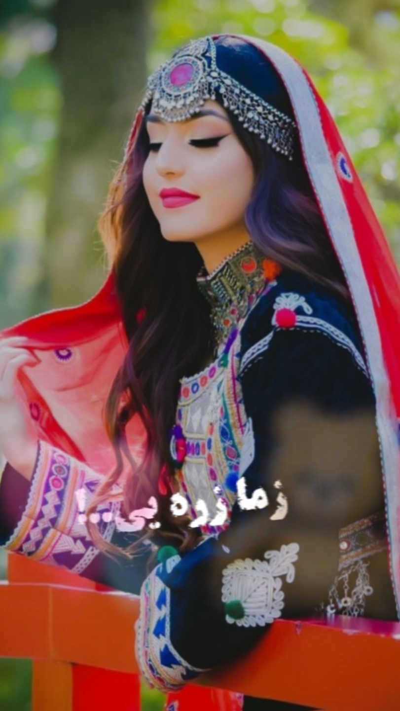 Template Afghanistan 