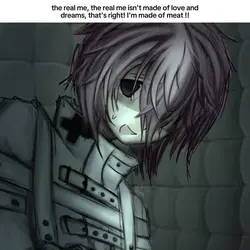 meat