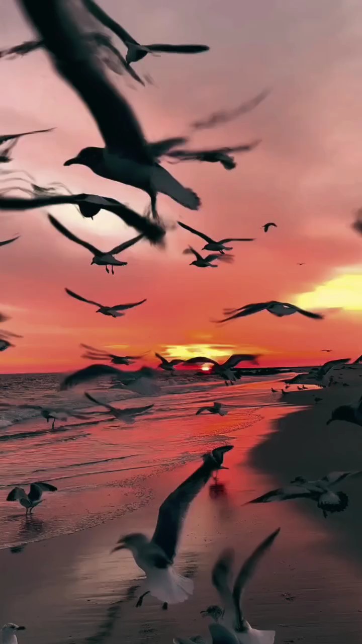 Slowmo