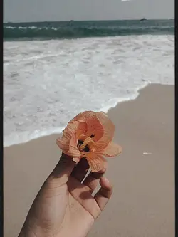 Sampai ku menutup mt