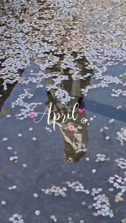 vlog. 𖡼.𖤣𖥧💐4月気分