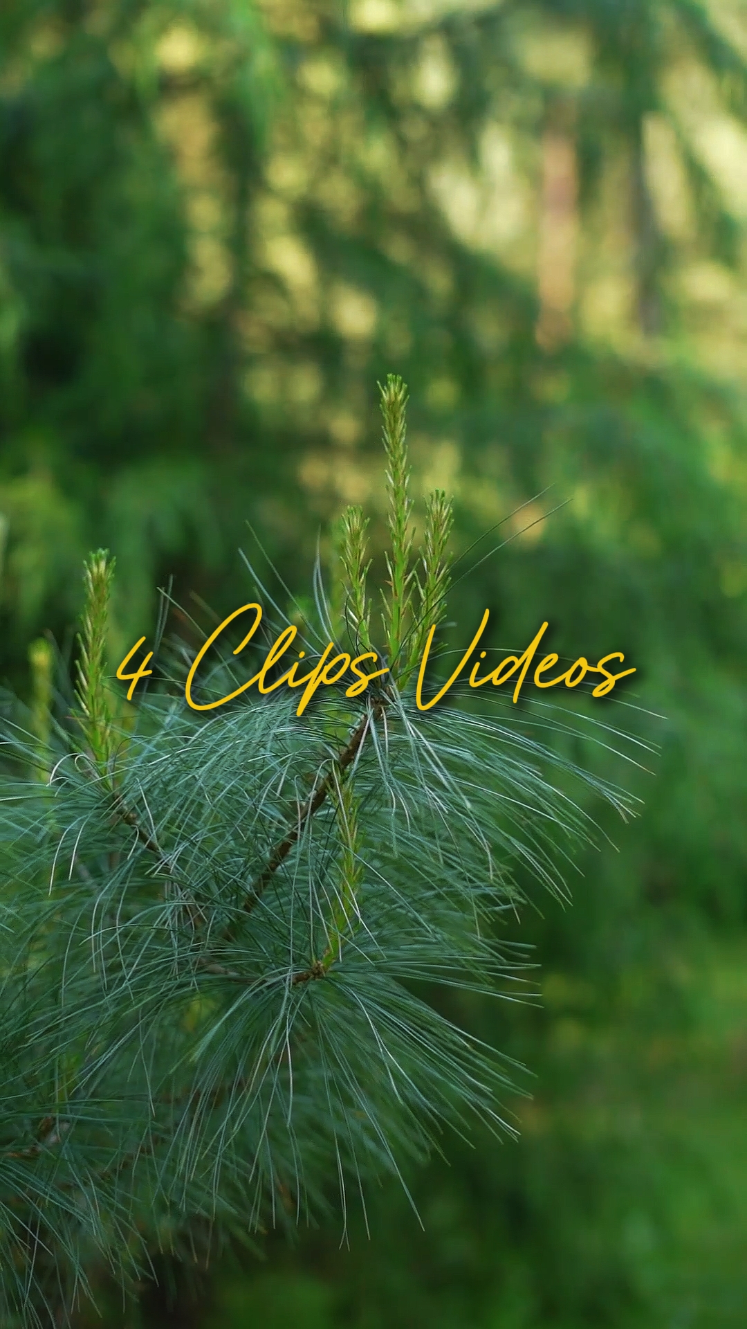 Cinematic 4 Videos