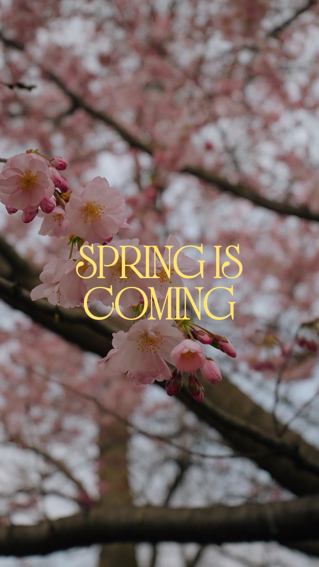 Se acerca la primavera
