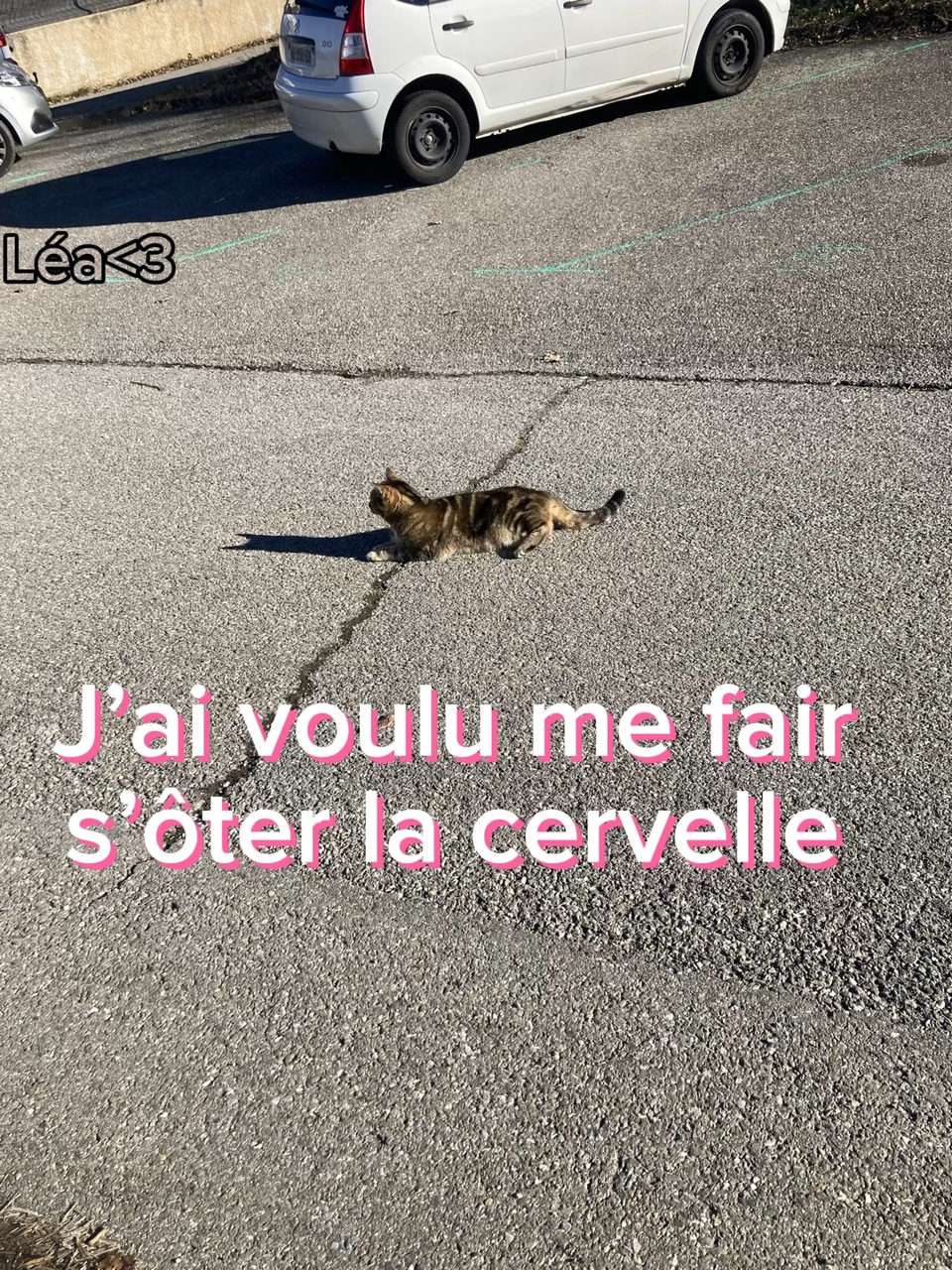 J’ai voulu me fair..