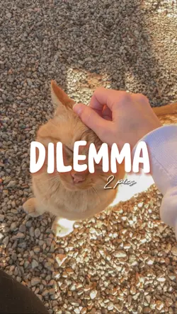 DILEMMA - 2 pics