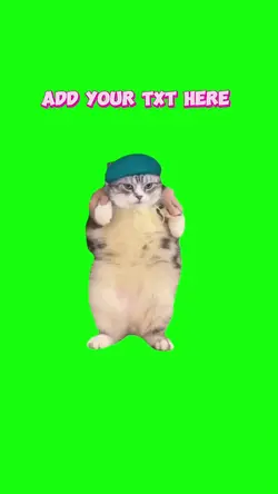 hey hey you you 