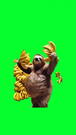 CHICKEN BANANA SLOTH