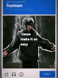 website verification