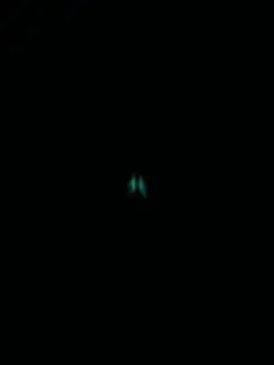 Night terror