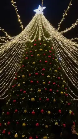 ~ Feliznavidad ~