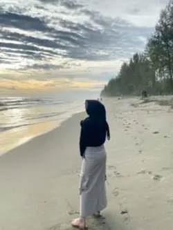 rollingstones|wildho