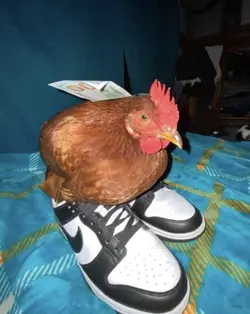 idk