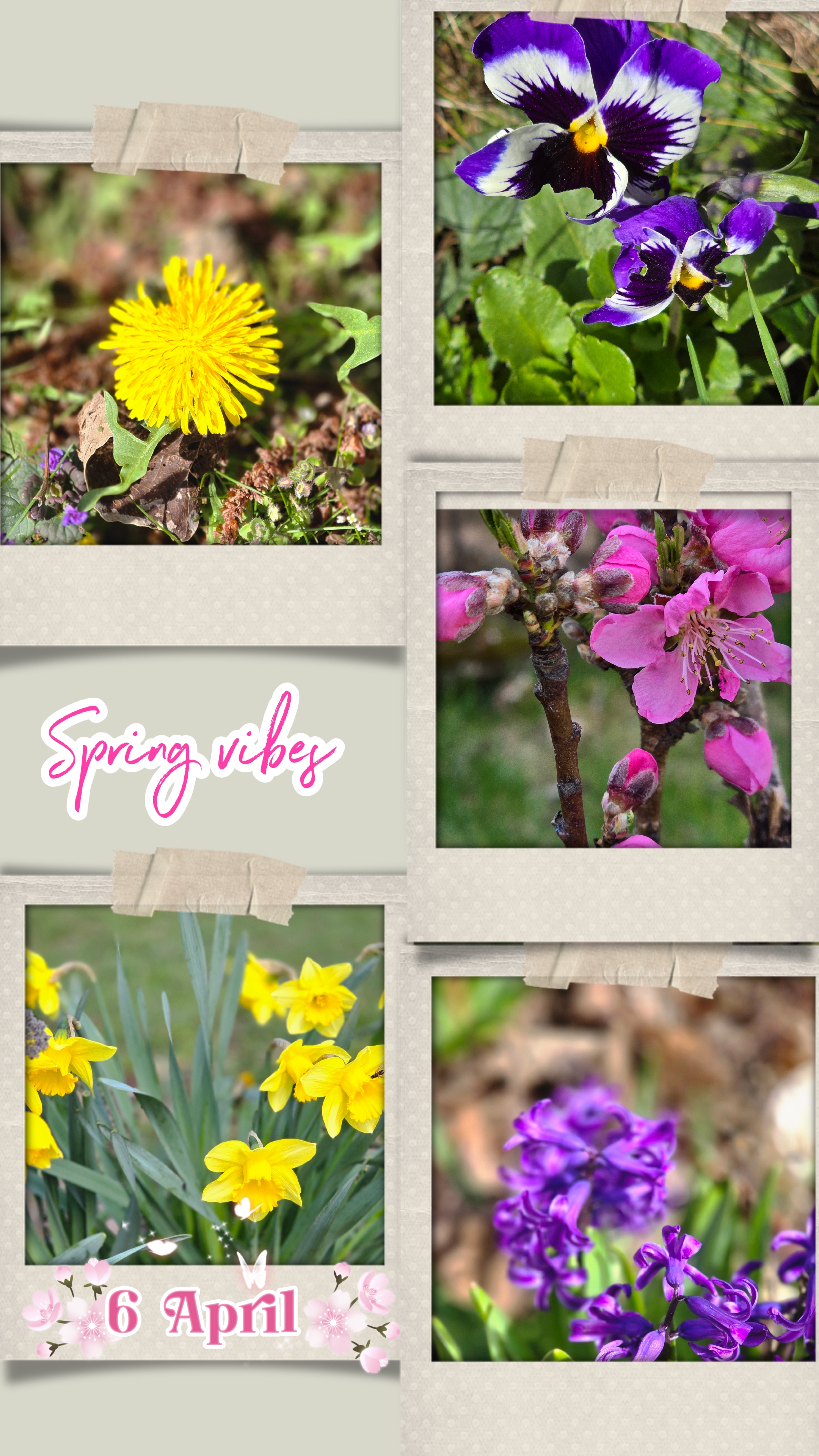Bloom Season