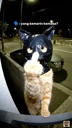 Yang kemarin kemana