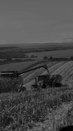 fazenda