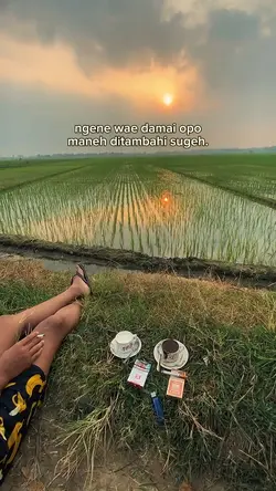 ngene wae damai