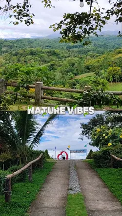 Nature vibes 2 clips