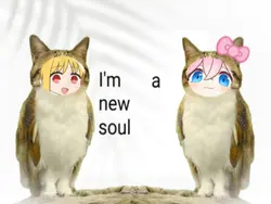 i'm a new soul