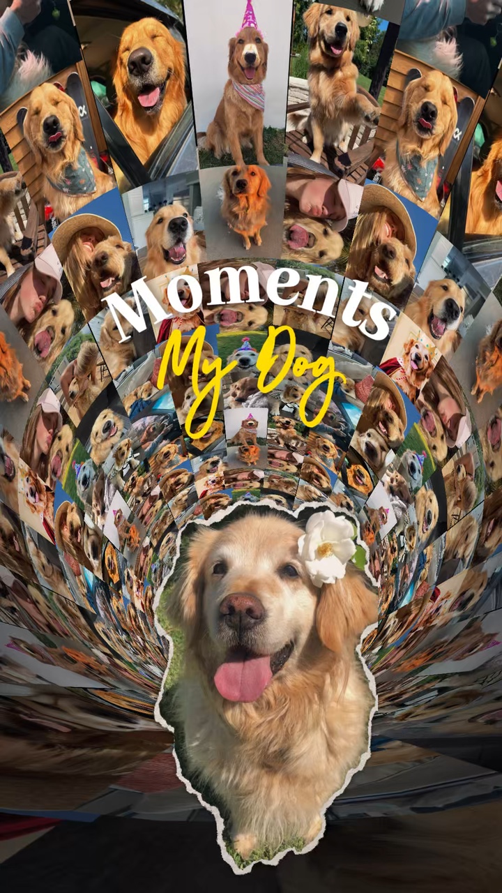 Ich liebe meinen Hundemoment