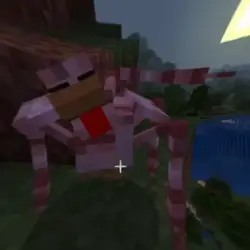 Me And Chicken