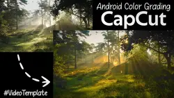 Capcut Color Grading