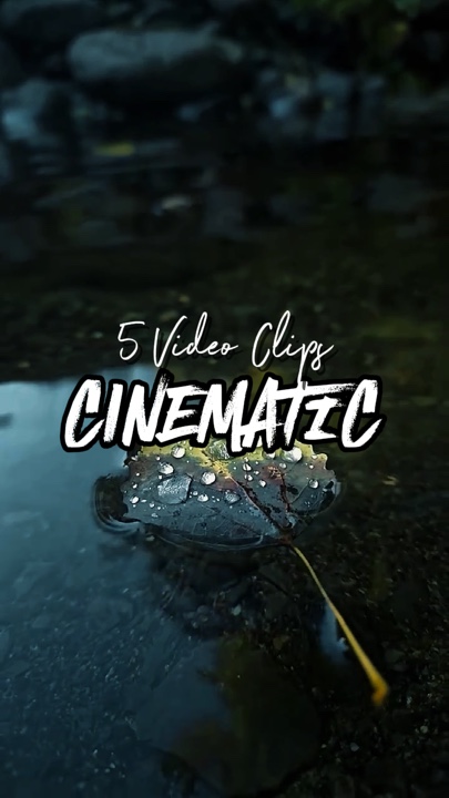 5 videoclips 