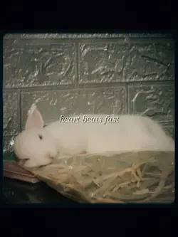 เพลงอังกฤษโทน